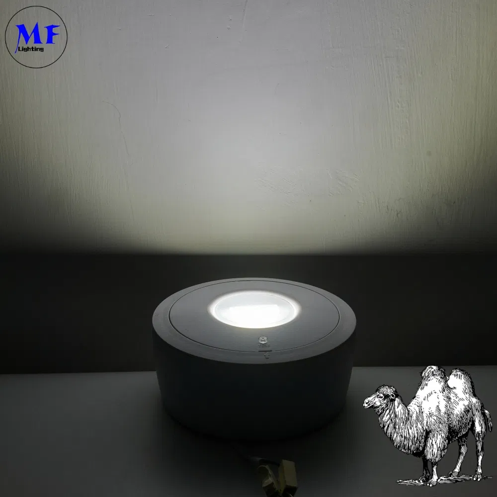 چراغ پانل پایین LED اضطراری فرار از علامت خروج IP65 پشتیبان باتری قابل شارژ مدرسه دولتی بیمارستان سفید 3