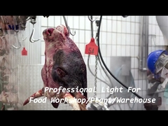 1200 میلی متر IP68 ضد آب سه اثبات LED زنجیره سبک براکت نصب شده است