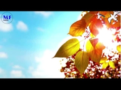 کبوتر 1 چراغ خیابان خورشیدی