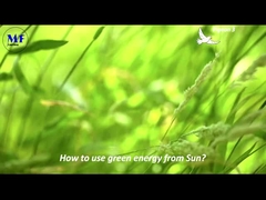 MF نور خورشیدی خیابان کبوتر 3 ویدئو