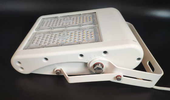 White Housing IP67 LED Flood Light Industrial 100W High Power Tunnel Light