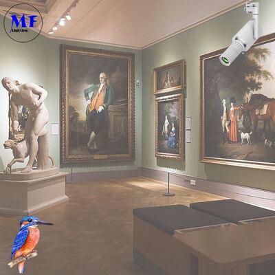 Shapeable Magnetic Track High CRI LED Spot Light For Fine Art Collection Temporary Art Showcase Artwork Restoration Workshop Art Gallery Lighting