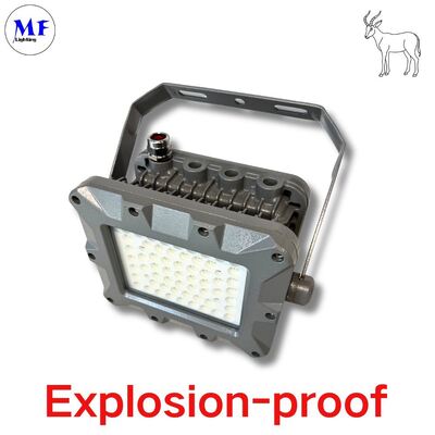 چراغ انفجار گواهینامه IP66 با توان 50 وات تا 400 وات EATON برای کاربردهای نفتی، فراساحلی و مناطق خطرناک، چراغ سیلابی LED ضد انفجار Atex