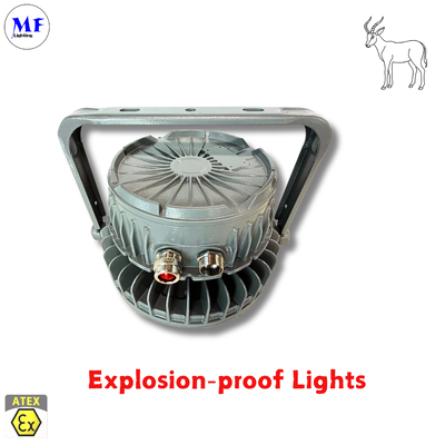 IP66 IK08 5 سال گارانتی روش‌های نصب متنوع Ra>80 گواهی ATEX آلومینیوم دایکاست ضد انفجار های‌بِی لایت